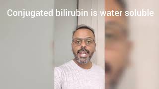 All About Bilirubin In 1 Minute  Rapid Revision of Bilirubin  Biochemistry Rapid Revision Series [upl. by Hoseia]