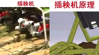 Working principle of agricultural machineryrice transplanter [upl. by Ellenwad]