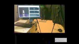 Postural Sway using Biofeedback with AMTI Accusway VICON cameras and The MotionMonitor® [upl. by Wanfried]