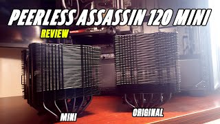 Thermalright Peerless Assassin 120 Mini CPU Cooler review Mini beast [upl. by Jackie705]