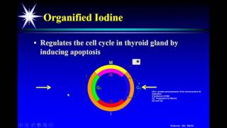 P2P Webinar Iodine amp Autoimmune Thyroid Disorders [upl. by Anahpets569]