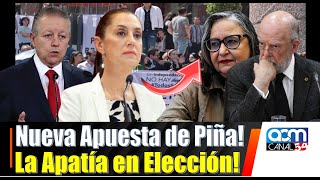 REVELAN ESTRATEGIA DE PIÑA PARA METER A SUS RECOMENDADOS A LA ELECCIÓN DEL PODER JUDICIAL [upl. by Anpas269]