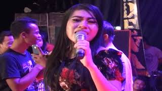 DIGILIR CINTA  SHANTY MUTIARA  SHADEWA Live Sumberejo [upl. by Isador]