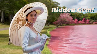 Discover the MYSTERIOUS Pink Lake of Australia shortvideo shorts short australia [upl. by Sehguh179]