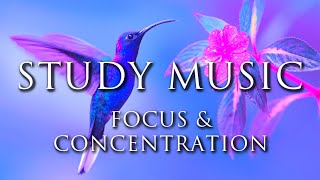 Relaxing Study Music for Focus amp Concentration ♫ Do Homework Fast amp Easy  Background Homework Music [upl. by Rimat]