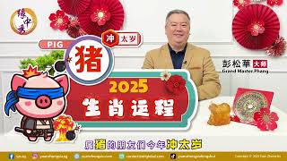 2025 Pig Zodiac Forecast 生肖属猪运程 by Grand Master Hillary Phang [upl. by Jerold]