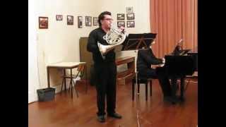 Mozart Horn Concerto no 3 [upl. by Gladdie]