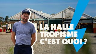 La Halle Tropisme cest quoi  Par Vincent Cavaroc LSF [upl. by Barta]