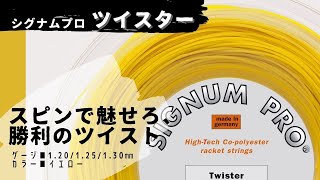 『スピンで魅せろ、勝利のツイスト』ATPランキング現在10位のマティオ ベレティーニ選手も信頼を寄せるドイツのストリングメーカー、シグナムプロ。コストパに優れ、スピンも自在にかけられるツイスター。 [upl. by Anolla]