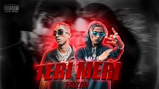 TERI MERI  MC STAN X VIJAY DK REMIX   MUSIC VIDEO  2024  PRODprodbyfaizan [upl. by Imoen]