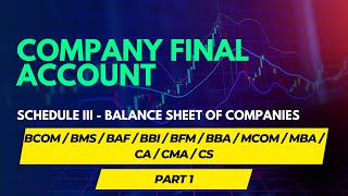 Company Financial Accounts Part 1  Schedule III Balance Sheet [upl. by Sailesh]