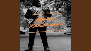 Shamwari feat Alexio Kawara [upl. by Assereht648]