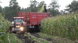 Mais hakselen  Loonbedrijf Zandman in de modder met hun nieuwe DEWA aangedreven silagewagens 2019 [upl. by Jock606]