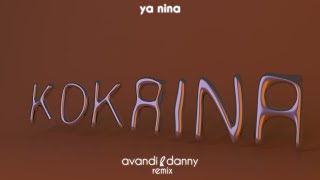 YA NINA  KOKAINA Avandi amp Danny Remix Afro House [upl. by Ayojal]