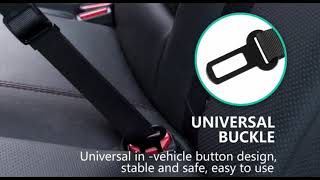 Dog Seat Belt Video [upl. by Moraj695]