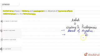 Axolotl larva shows i Neoteny and paedogenesis ii Absence of thyroxine affects metamorphosis [upl. by Faubion]