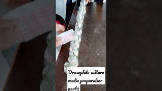 Drosophila culture media preparation part2 [upl. by Gabriela492]