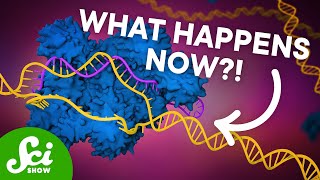 The First CRISPR Gene Therapy Is Here [upl. by Amoihc827]