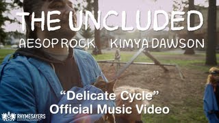 The Uncluded  Delicate Cycle Official Video [upl. by Einafats]