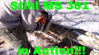 Stihl MS391 Review  In Action [upl. by Rizzi235]