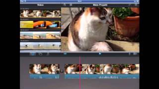 ifunde  Videoschnitt mit iMovie auf dem iPad [upl. by Evyn]