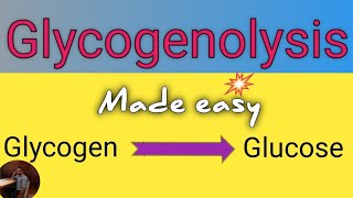 Glycogenolysis Pathway in Biochemistry ll Definition ll Site ll Significance ll Regulation [upl. by Lammond743]