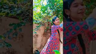 mari pole meniyake chanthamezhuthanu njane ytshorts dance malayalam song shorts youtube [upl. by Eaj]