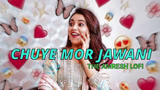 video  चुवे मोर जवानी  CHUYE MOR JAWANI  samarsingh  SLOWED LOFI SONG  THE AMRESH LOFI [upl. by Marler512]