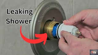 Delta Shower and Tub Cartridge Replacement What You Need to Know [upl. by Enineg]