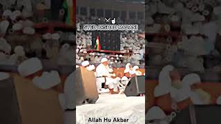 Allah Hu Akbar 🤍delhi india islam islamic quran musica allah viralvideo trending police [upl. by Eiuqnom636]