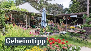 Grüne Oase mit Kaffeeduft Hamburgs verstecktes Gartencafé [upl. by Benn]