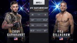 Cody garbrandt vs TJ Dillashaw full fight ufc 217 [upl. by Anuqahs]