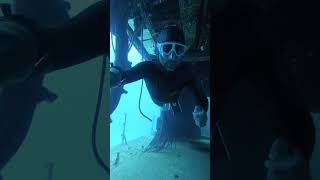 Freediving the P31 wreck [upl. by Namyaw]