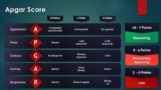 Apgar Score [upl. by Seagraves]