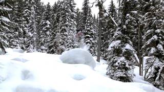 Whitewater Ski Freeride Jam [upl. by Noryv]