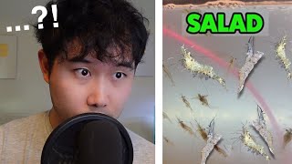 Breeding Shrimp FOR FOOD  Fish Tank Review 203 [upl. by Idnam]