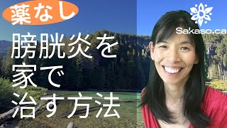 【自然治療】私はこうやって膀胱炎を家で治した [upl. by Leerzej]