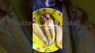 butterfish or pabdah catfish food pabdamacherrecipe fish fishfry shorts [upl. by Adolfo187]