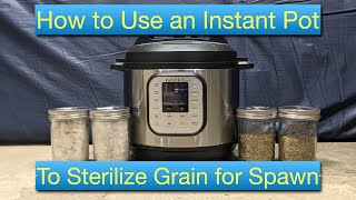 Instant Pot Sterilization of Rye Grain for Spawn  Home Mushroom Growing  How To Procedure [upl. by Ylatan]