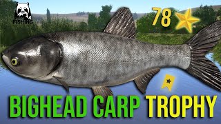 Bighead Carp Trophy 40kg at Sura River  Russian Fishing 4 rf4 [upl. by Anrahs]