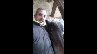 faire une couche chaude avec du fumier de cheval [upl. by Yuk499]