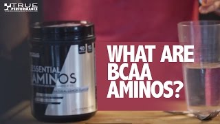 True Performance Nutrition  BCAA Aminos [upl. by Ahsekyt]