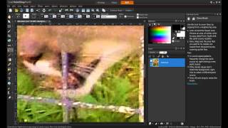 Advanced Cloning in PaintShop Pro X5 [upl. by Ailemap461]