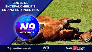 BROTE DE ENCEFALOMIELITIS EQUINA EN ARGENTINA [upl. by Nie]