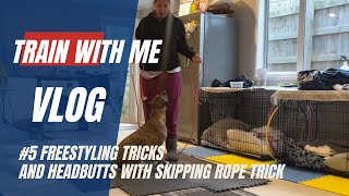 Unedited Dog Training Vlog 5 Freestyling and working on our skipping rope trick [upl. by Harleigh16]