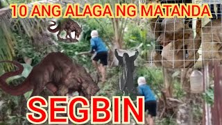 MATANDANG ASWANG PALA ANG MAYARI NG SAMPONG MABABANGIS NA SEGBIN [upl. by Jenness]