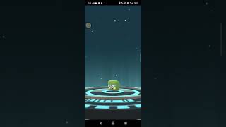 GRUBBIN EVOLUTION TO CHARJABUG IN POKEMON GO [upl. by Volpe884]