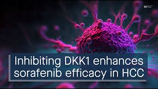 Inhibiting DKK1 enhances sorafenib efficacy in HCC [upl. by Muiram948]