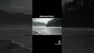 Neskowin Beach pics I took on November 4 2024 visitoregon incredibleplaces seacaves oregon [upl. by Siednarb]