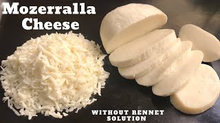 Mozzarella Cheese How To Made  Mozzarella At Home Simple amp Easy Method [upl. by Nessaj]